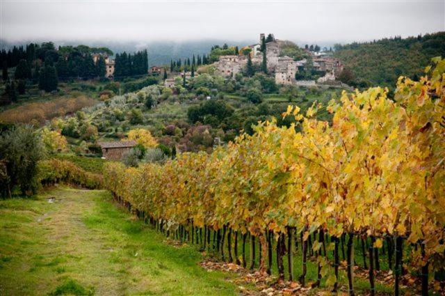 Agriturismo Podere Torre เกรเว อิน เคียนตี ภายนอก รูปภาพ