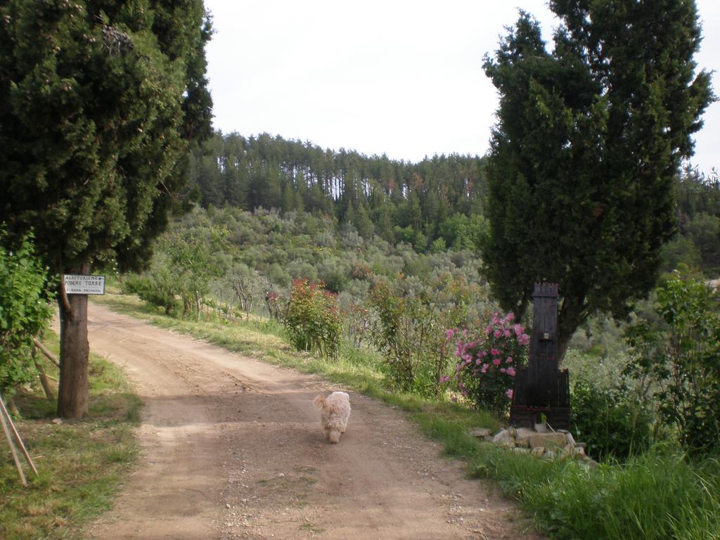 Agriturismo Podere Torre เกรเว อิน เคียนตี ภายนอก รูปภาพ