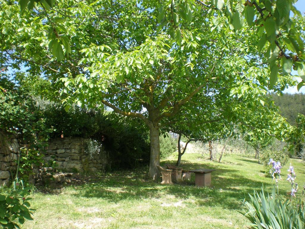Agriturismo Podere Torre เกรเว อิน เคียนตี ภายนอก รูปภาพ